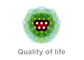 Quality of Life