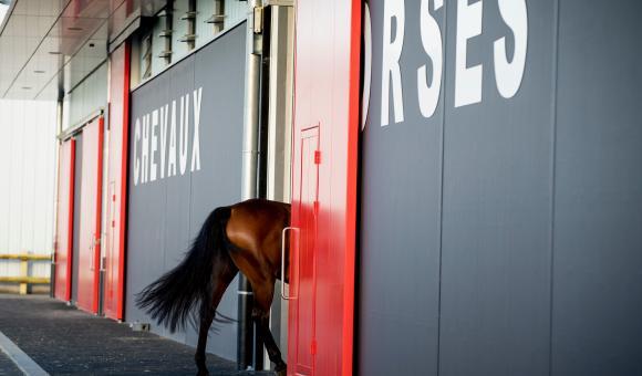 Hors Inn am Lütticher Flughafen Dirk Caremans